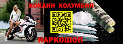сатива Новозыбков