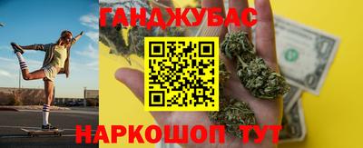 сатива Новозыбков