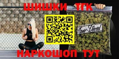 сатива Новозыбков