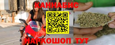 сатива Новозыбков