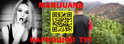сатива Новозыбков