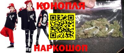 сатива Новозыбков