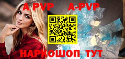 сатива Новозыбков