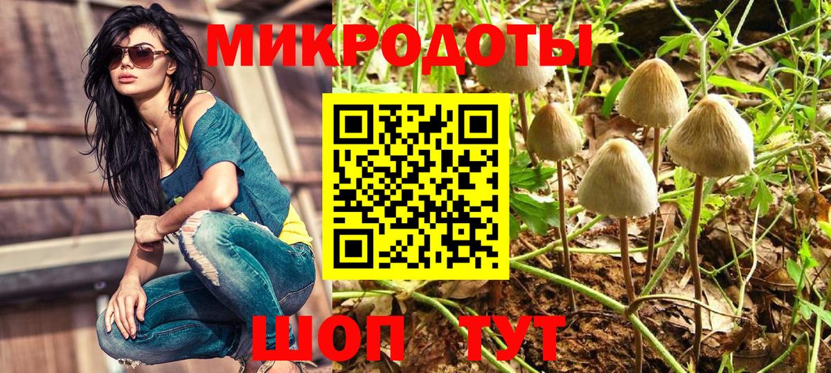 хочу   Вход с VPN  Псилоцибиновые грибы GOLDEN TEACHER  Петропавловск-Камчатский  Псилоцибиновые грибы прущие грибы 